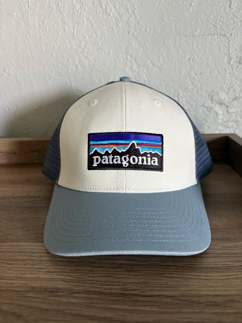 Patagonia Mesh Trucker Cap in Blue and White